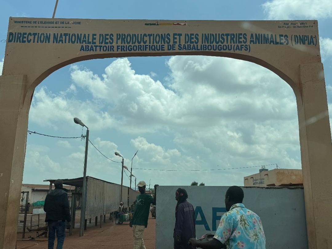 Abattoir frigorifique de Sabalibougou courani: Course au label Mali et à la certification Iso   